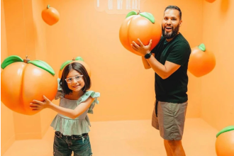 Museum of Art in Houston