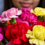 carnations in bulk